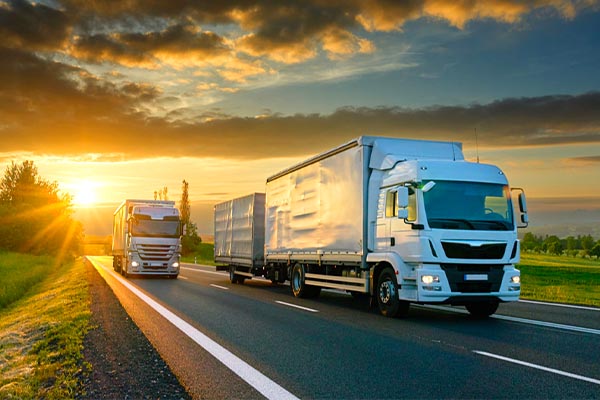 tanem-sehirler-atasi-nakliyat